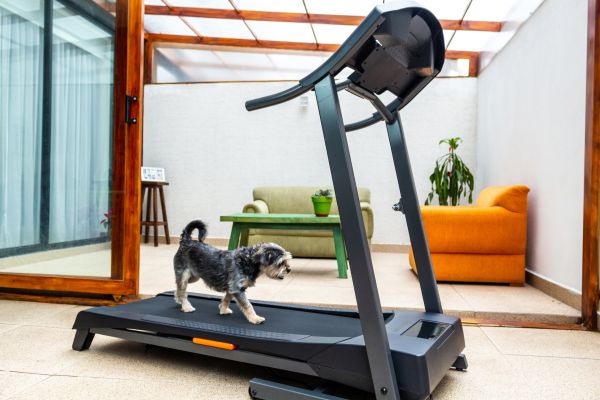 Cost of Treadmill Installation in Camas
