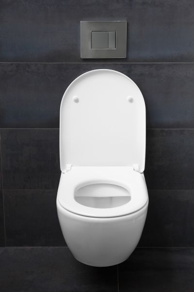 Cost of Toilet Lid Installation in Camas