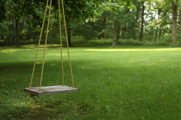 Cost of Rope Swing Installation in Camas