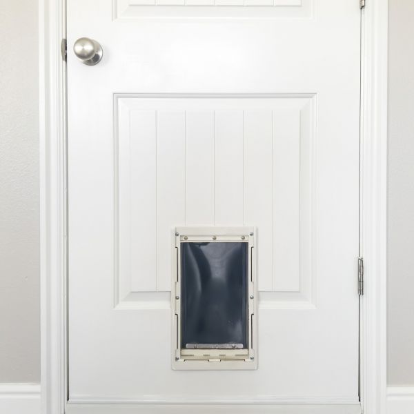 Cost of Pet Door Repair in Camas
